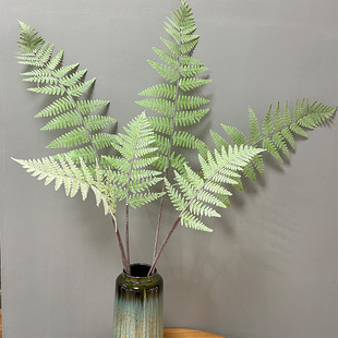 ֦Pβ[ëާֲķާݲ廨bXާɽާ~