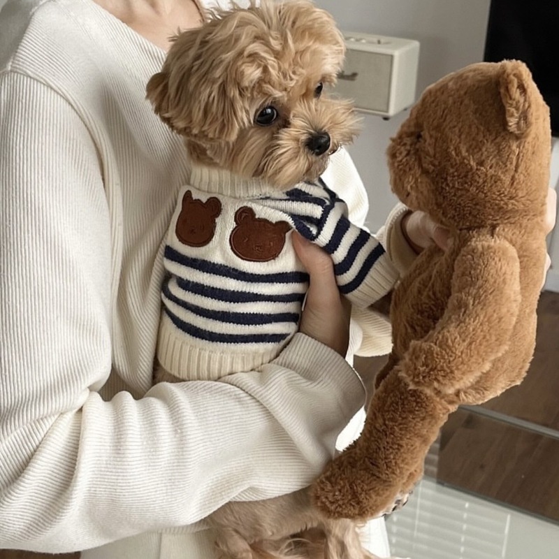 Ins South Korea Warm Pet Knitted Wool Clothes Autumn and Winter Thickened Small and Medium Dog Dog Cat Teddy Wholesale pet