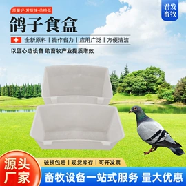 畜牧养殖机械;鸟类