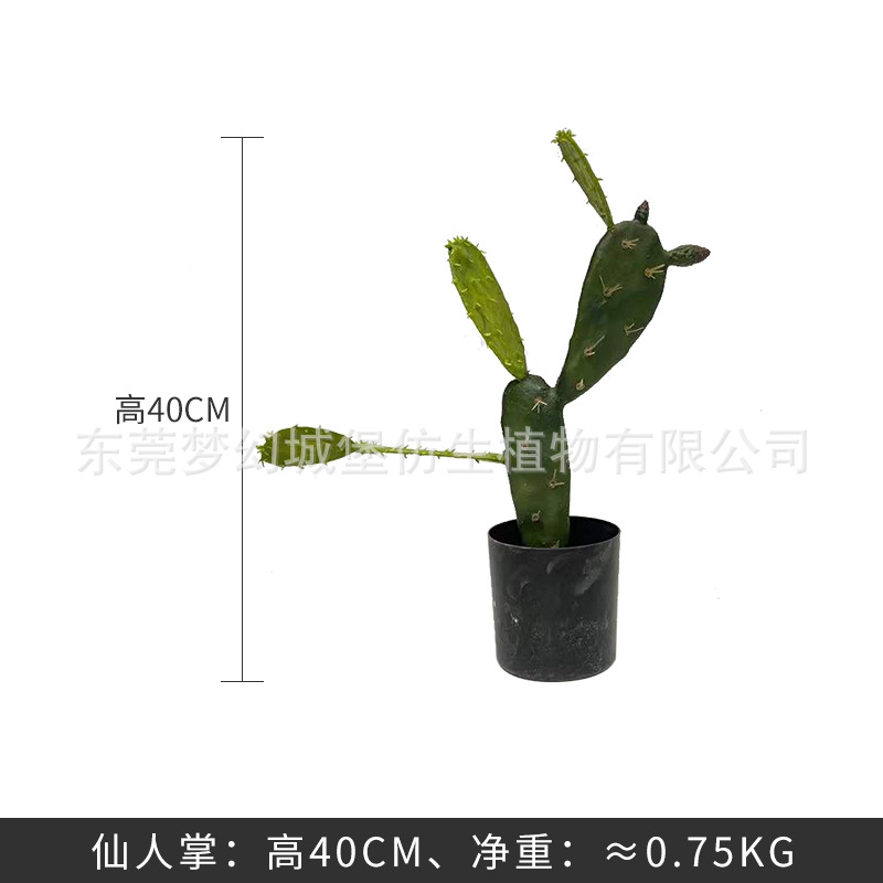 Simulación nórdica Planta verde Pilar de hadas Cactus grande piso interior sala de estar ropa tienda decoración de ventana