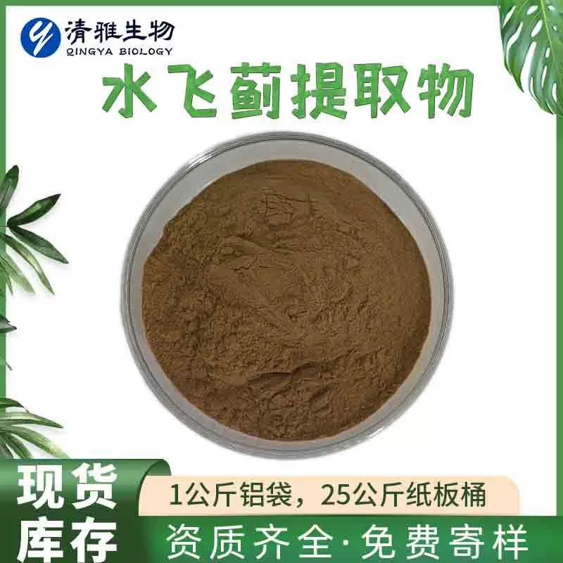 水飞蓟提取物10:1 水飞蓟素80% 奶蓟草提取 水飞蓟粉 500克