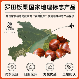 �������������ͺ決�W��������������^������������W�������u