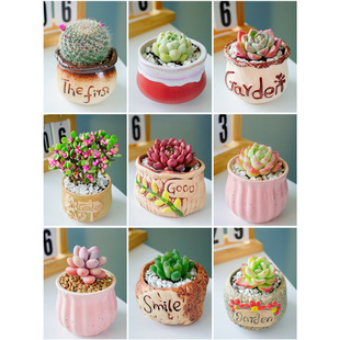 ⎧ֲM҃С¶ҵմɻϘ߶