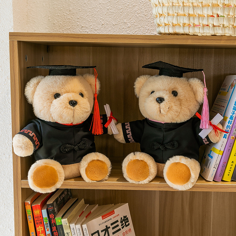Teddy Bear Doctor Teddy Teddy