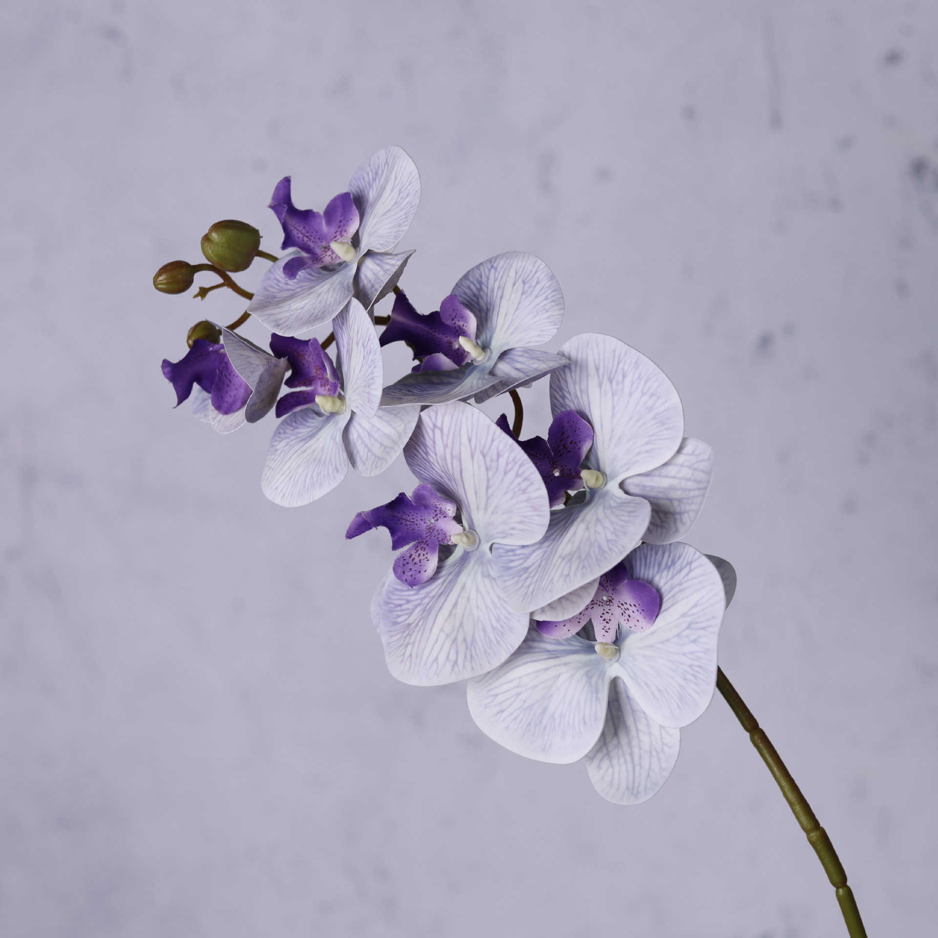 Impresión 3D de 7 cabezas de orquídeas mariposa flor de decoración de flores de alto nivel flor de nicho decoración floral decoración de sala de estar