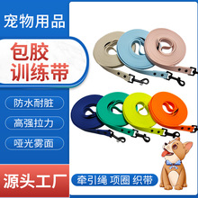 跨境宠物狗训练带pvc狗绳项圈狗链子防水耐磨高强力宠物狗牵引绳