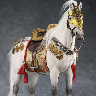 Mr.Z 1/6��Ѫ�Rģ�ͷ����E�R���T����˄����R�߶����k�ҾӴ�[��
