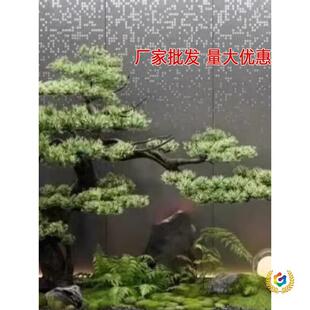 ���ɘ��쾰���~ӭ���������ɘ�ӭ��������ʽ�҃��쾰�bGֲ
