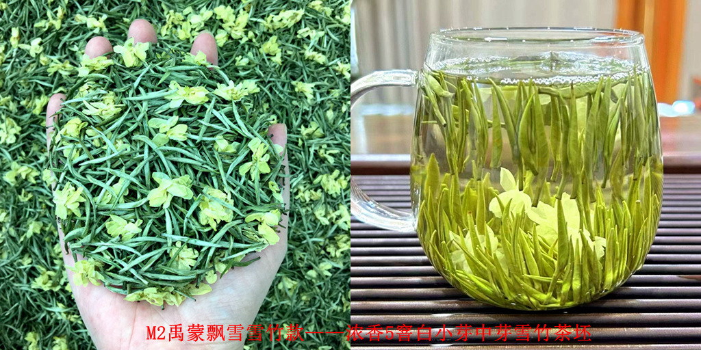 M2 녹색과 흰색 새싹, 중간 새싹, 5가지 향, Yumeng Piaoxue Snow Bamboo Style 2025 신차 - 강한 향기, 5가지 향, 흰색 작은 새싹, 중간 새싹, 눈 대나무 차 배아