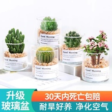 ���������Զ���ֲ��M���҃ȾW�t�k������������B�Gֲ���沣��ƿ