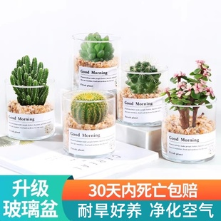 ԶֲM҃ȾWtkBGֲ沣ƿ