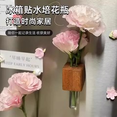 冰箱贴磁吸贴创意diy花瓶胡桃木磁吸养花创意装饰试管磁性插花器