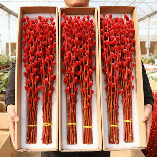 �y���滨�r֦�͏d�[���tɫ�ɻ���֦��������Ͱ�����r����ˮ�����l