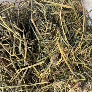 ������ -������������؛���l500�˳����r�aƷ���Aș����������