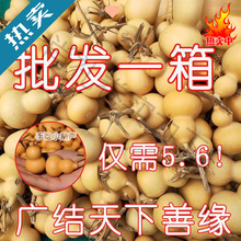 ���J�؃r����������С���J��Ʒ���lС���ְѼ���Ȼ���J�������