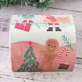 餐巾纸;一次性碗碟;卫生纸/卷纸