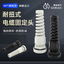 |̶^ Ťʽ|̶^NPT  ʽܷ^