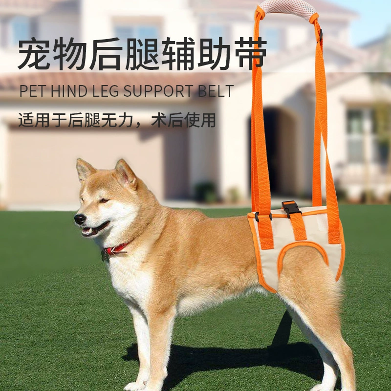 Собака Hind Leg Инвалидность Травма Помощь при ходьбе Пояс Тяговая веревка Пожилые пожилые собаки Hind Limb 6