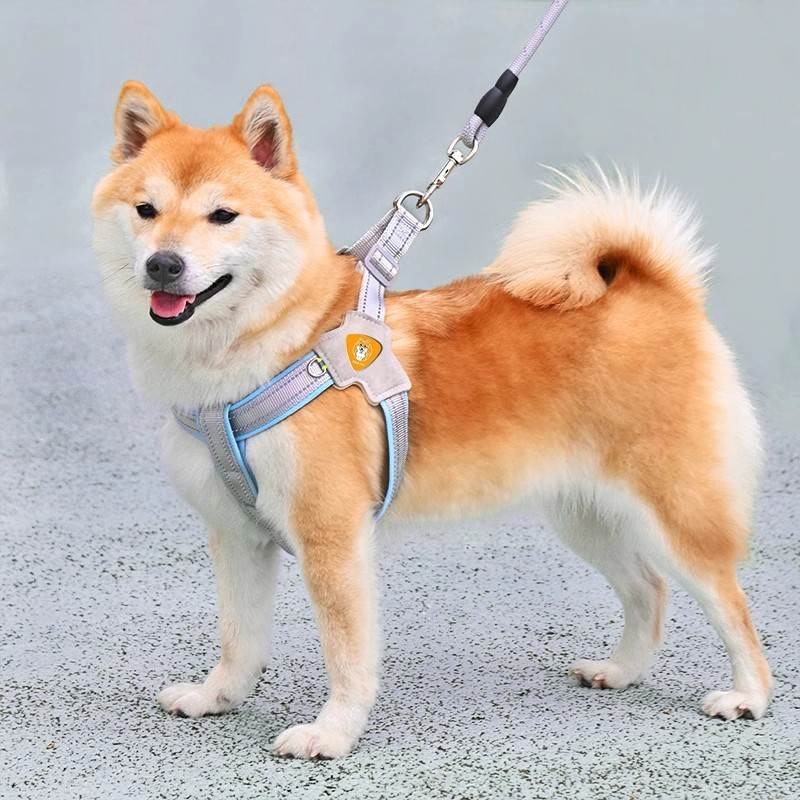 犬用リード ベスト型ペットハーネス 犬用リード 小型・中型 柴犬 コーギー ビション テディドッグチェーン|undefined