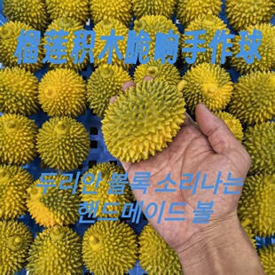 ???????? ?????��ɏ������eľ���푽≺�������