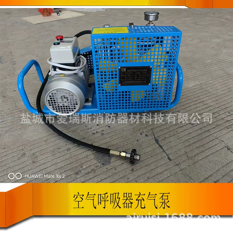 AH100 Малый портативный надувной насос Воздушный респиратор Насос Насос Насос Дайвинг Насос Насос Насос Насос Насосы Производители