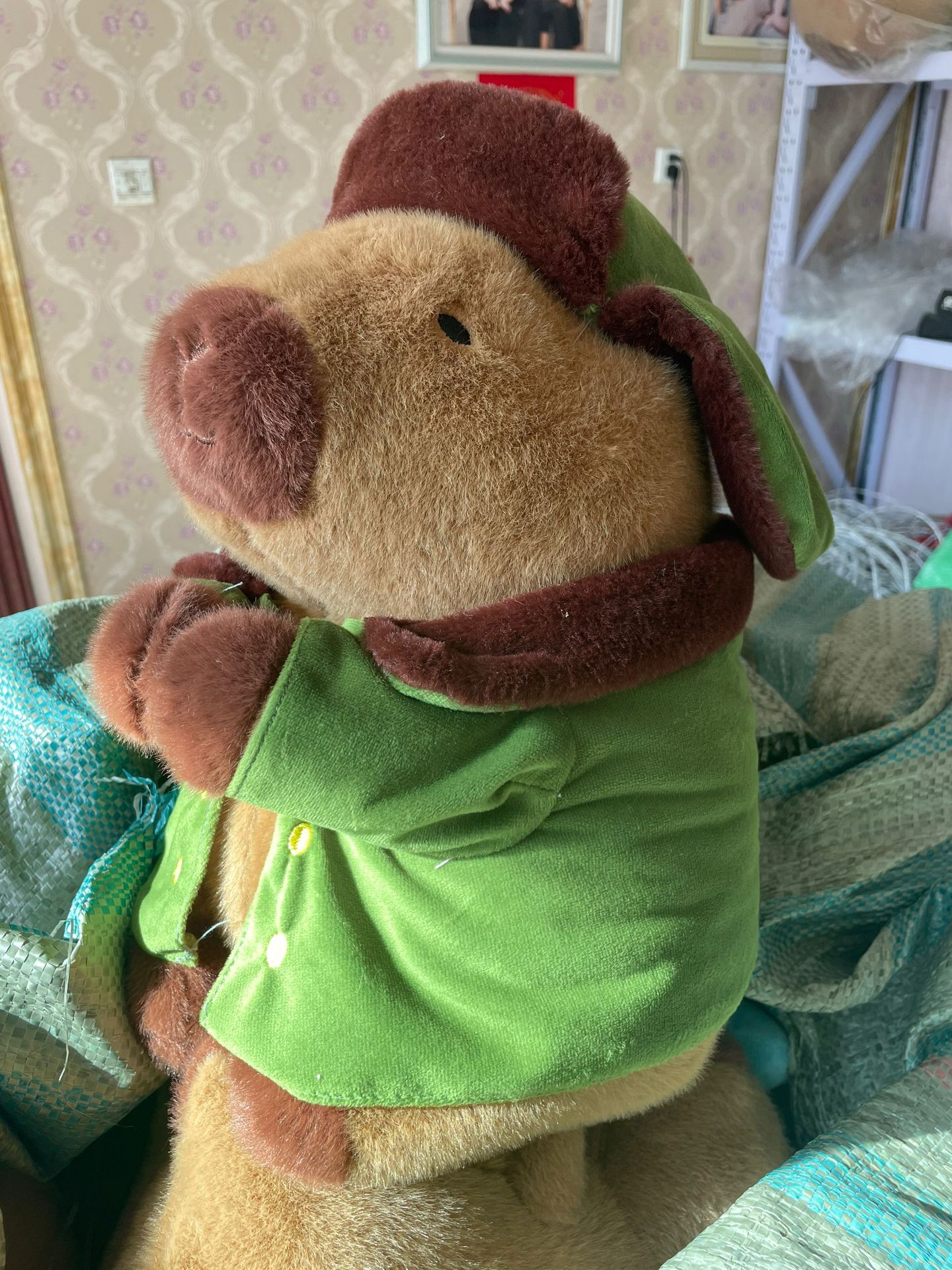 Kappabala mocino muñeca retirar muñeca de peluche almohada de juguete capybara para niñas en línea celebridad fea muñeca Linda