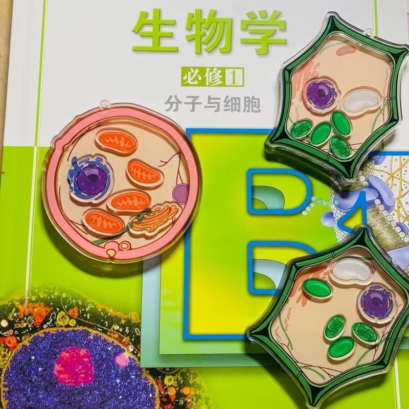 Xiaohongshu's Same Style Biological Cell Shaker Keychain, Homemade Biology Peripherals, Good-Looking Gifts for Besties and Friends
