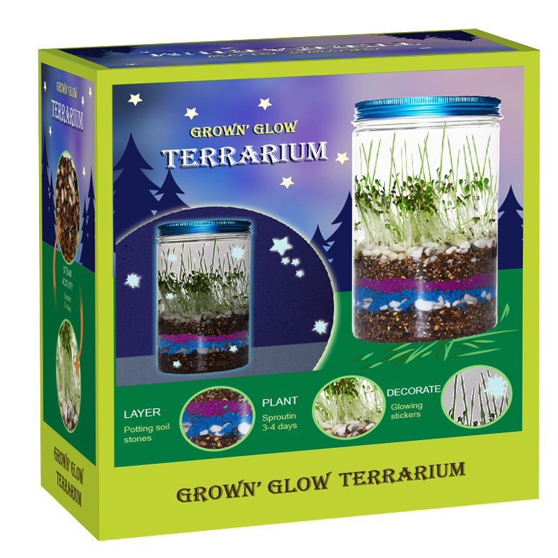 Amazon Indoor Plant Growing Kit for Kids - Mini Children's Science Plant Garden - Direct from Manufacturer Amazon Indoor Plant Growing Kit for Kids - Mini Children's Science Plant Garden - Direct from Manufacturer