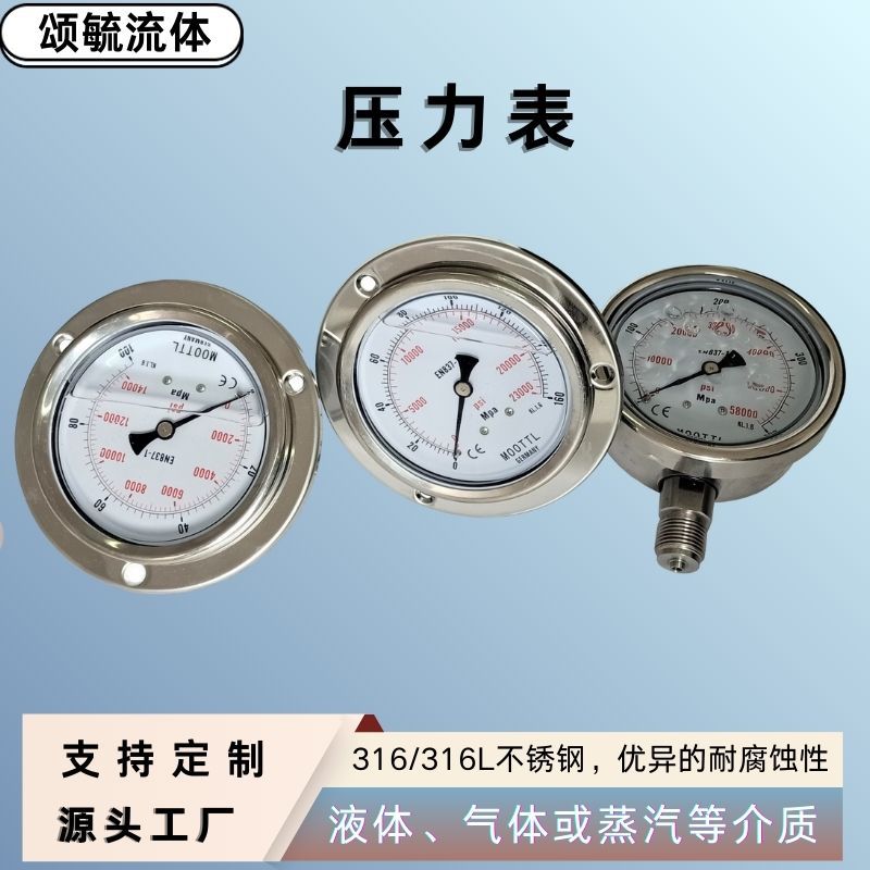高压压力表250Mpa德国MOOTTL耐震不锈钢压力表厂家供应