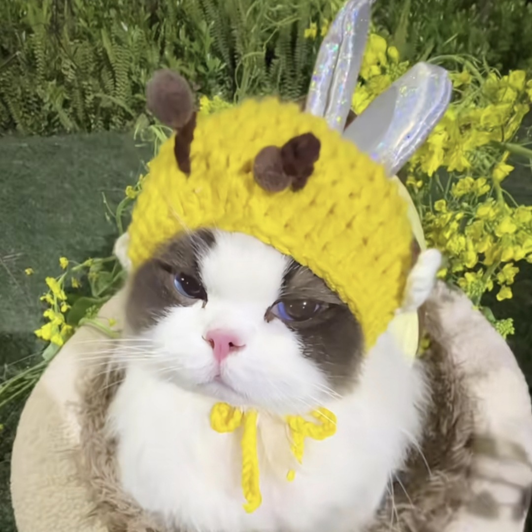 작은 꿀벌