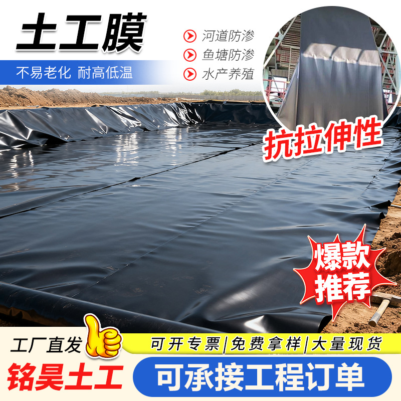 土工膜垃圾填埋防渗水抗老化河道护坡治理人工湖泊鱼塘养殖土工膜