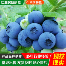 �{ݮ����� �����{ݮ���箔��Y���Ե����ش���{ݮˮ������