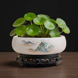 无孔水仙花盆陶瓷特价清仓铜钱草睡碗莲简约家用大号水培植物花盆