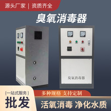 水箱臭氧消毒器二次供水不锈钢水箱消防水池专用臭氧消毒器批发