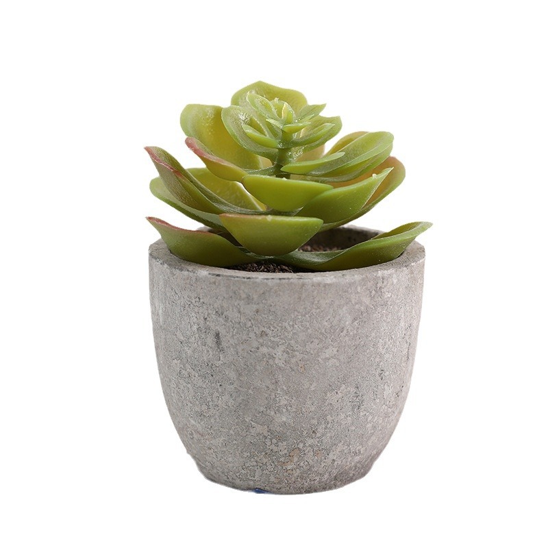 Pulpa artificial suculento bonsai planta verde bonsai chino decoración del hogar Decoración de escritorio mini pequeño bonsai árbol de simulación