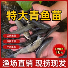 �㽭��·���~���ݽz��ˮ�~���Bֳʳ�����~�ش�����Ĵ���~���~С