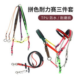 狗狗牵引;宠物项圈;宠物周边用品