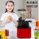 Ai Juice Source Large Diameter Juicer Household Broken Soymilk Machine Raw Juicer Fruit Residue Juice Separation Factory Outlet