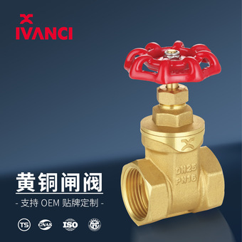 黄铜加厚闸阀水务工程用水闸阀自来水表总阀HPb59-1重型开关闸阀