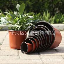 双色花盆塑料种植培育蔬菜花卉插秧育苗盆杯一次性绿植