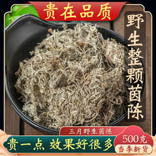 茵陈中药材500克 茵陈篙野生茵陈特级整颗棉茵陈泡茶三月绵茵陈