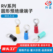 RV5.5-6 �䉺�Ӿ����� �A�� O�� OT�� ���^ �A�^�� �~����500ֻ