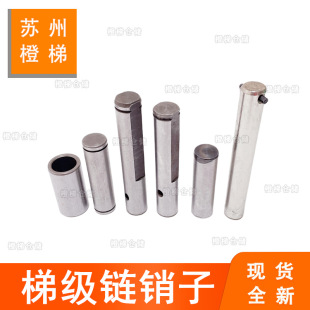 �m������������Ǭ������ط����ݼ���S�N133�ݼ���N��������