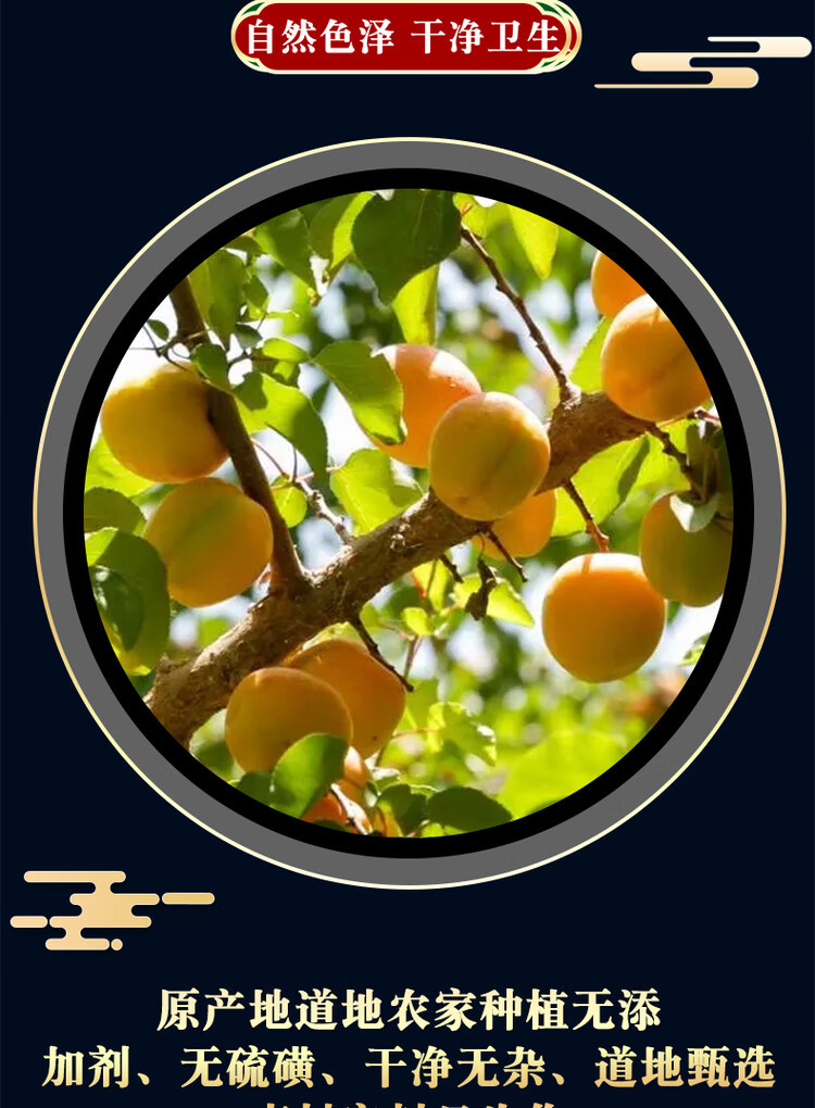 Bitter Apricot Kernel Ku Xing Ren 500g Dried North Apricot Seeds Raw Herbal Ingredient key features