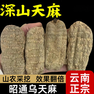 ���������ͨС�݉�����Ұ������������ɿ�ĥ����Ƭ