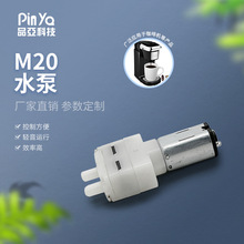 深圳厂家迷你微型水泵 12v植物浇水器低噪音水泵 M20微型自吸水泵