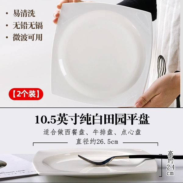 10-inch garden square plate [pack of 2]