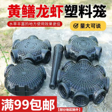 ��ɫ����S�X�\�����ײ�������һ�֑��⎧��횲��X���q���r�\���l