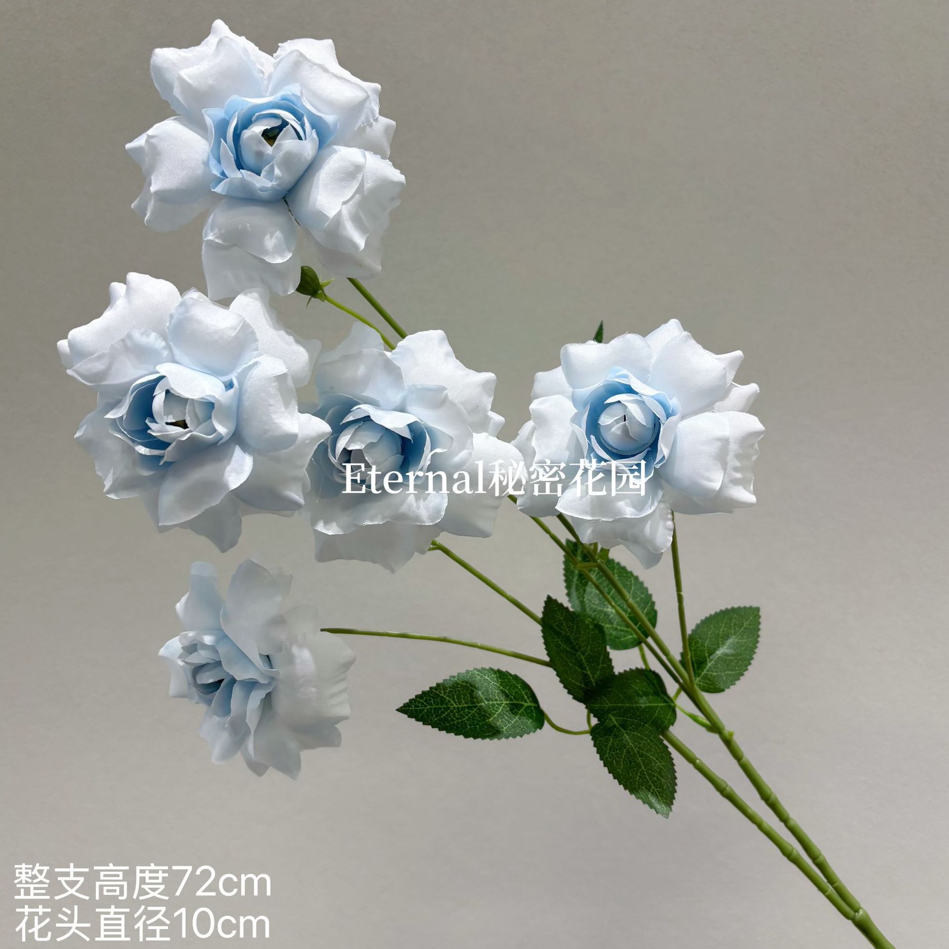 뒤집힌 장미