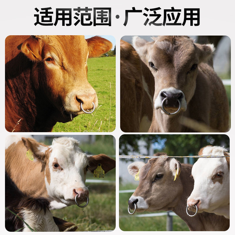 Anillo de Nariz de ganado Aguja perforante Instalación de artefactos Abrazadera Tracción Acero inoxidable Equipo de ganado Suministros de ganado